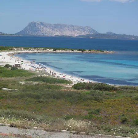 Apartment Pesca By Interhome San Teodoro (Sardinia)