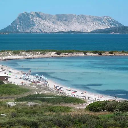 Pesca By Interhome Appartement